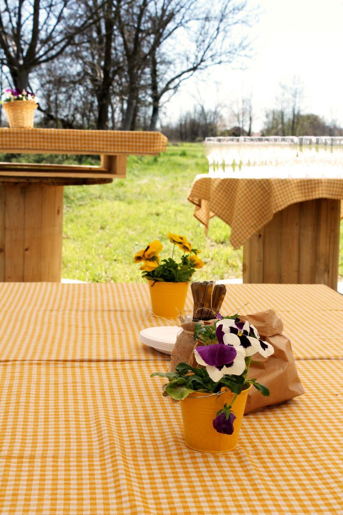 Agriturismo Helianthus Oleggio Exterior photo